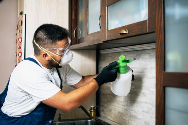 Best Termite Control Services  in Crowley, LA