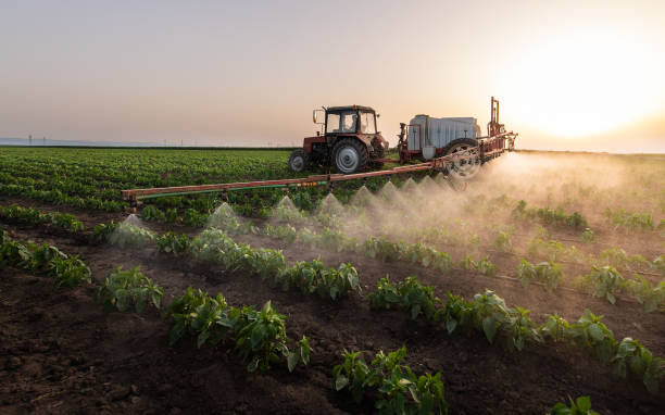 Best Commercial Pest Control Services  in Crowley, LA