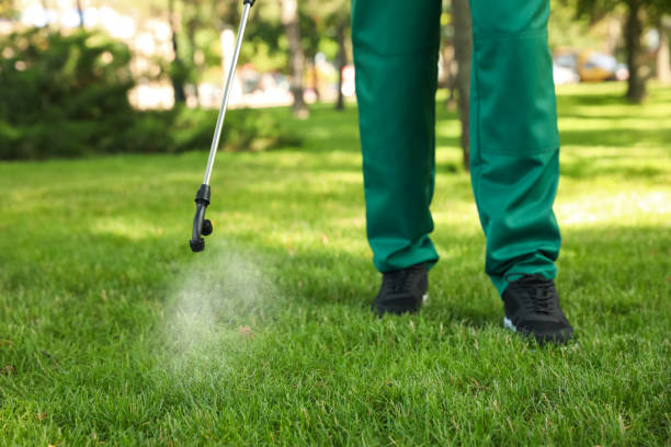 Best Pest Removal Services  in Crowley, LA