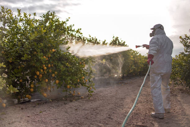 Best Emergency Pest Control  in Crowley, LA