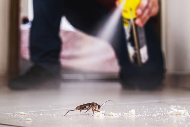 Pest Control for Restaurants in Crowley, LA