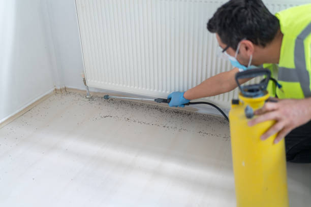 Best Mosquito Control Services  in Crowley, LA
