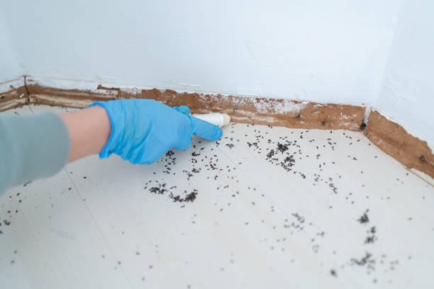 Best Cockroach Control Services  in Crowley, LA