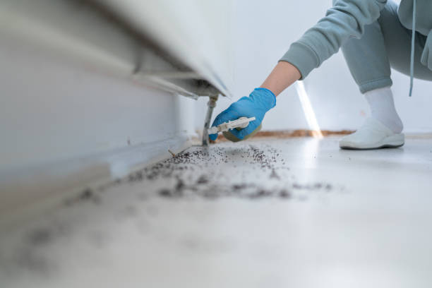 Best Termite Control Services  in Crowley, LA